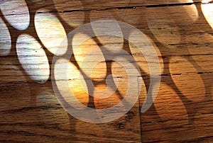 Rainbow circles in a wood floor