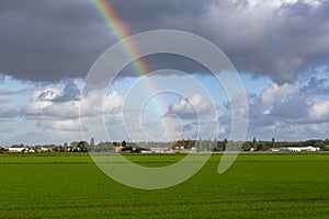 Rainbow in the cloudy sky over the flowerfields of Lisse.