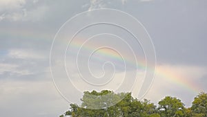 Rainbow on a cloudy sky over tree tops