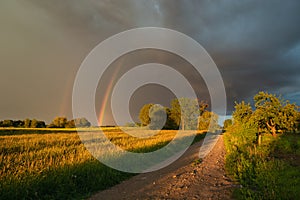 A rainbow in the cloudy sky, trees and a dirt road through the meadow