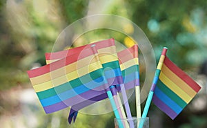 Rainbow color flags. Outdoor background. Concept, Lgbtq+ celebration in pride month, June.