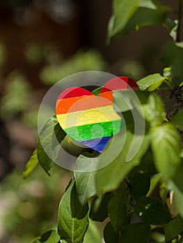 Rainbow color heart for lgbtq community.