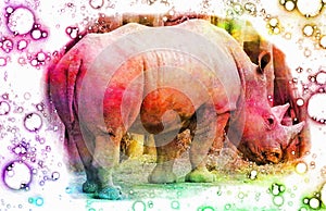 Rainbow colored artistic rhinoceros over white background