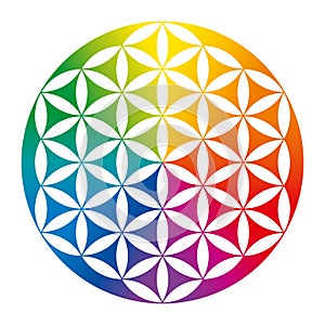 Rainbow colored inverted Flower of Life over white