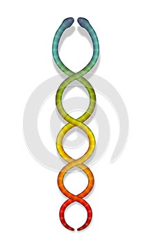 Rainbow Colored Snakes Kundalini Serpent Symbol