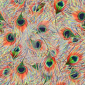 Rainbow colorful peacock bird feather seamless pattern background texture