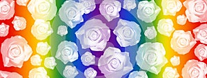 Rainbow colors banner. White roses motif best for Mother,s Day