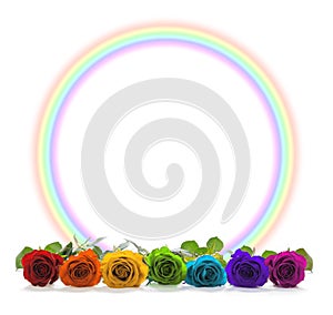 Rainbow coloured roses and rainbow circle border