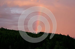 Rainbow column over a forest