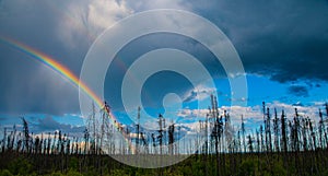 Rainbow Dark clouds Blue skies