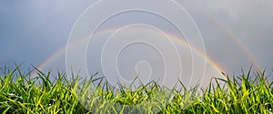Rainbow in a dark rainy sky over a field with fresh green grass