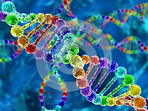 Rainbow DNA (deoxyribonucleic acid)