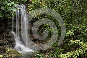 Rainbow Falls in Rainbow Springs State Park, Florida, USA