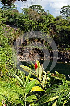 Rainbow Falls is a waterfall located in Hilo, Hawaii