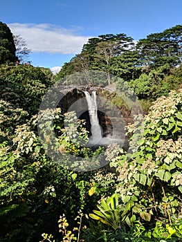 Rainbow Falls Waterfall on roadside in hawaii