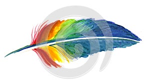 Rainbow feather