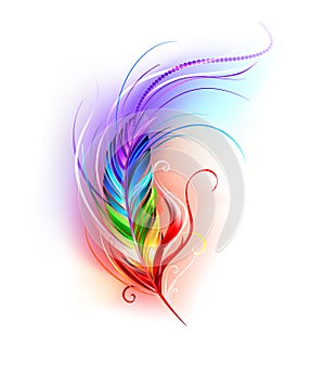 Rainbow feather on white