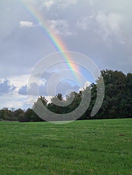Rainbow on a field