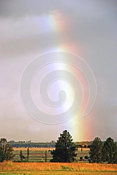 Rainbow in field