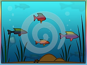 Rainbow Fish Aquarium Background