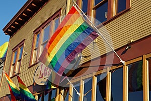 Rainbow Flag Flying Proud