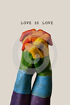 Rainbow flag and text love is love