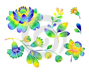 Rainbow floral set of watercolor illustration