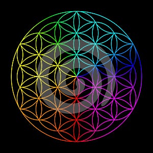 Rainbow flower of life
