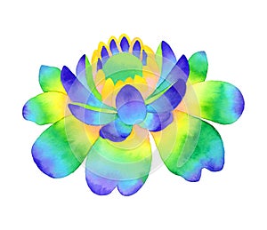 Rainbow flower watercolor illustration