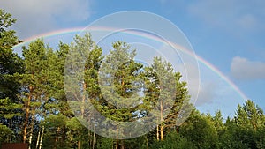 Rainbow and forest. Blue sky.