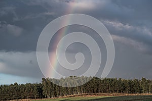 A rainbow forms over a forest after an afternoon thundershower