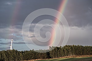 A rainbow forms over a forest after an afternoon thundershower