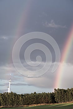 A rainbow forms over a forest after an afternoon thundershower photo