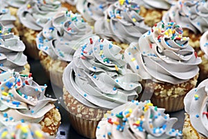 rainbow frosted vanilla flavored cupcake or muffin with sprinkles