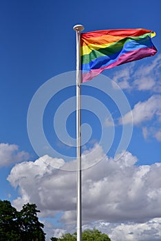 Rainbow Gay Pride Flag