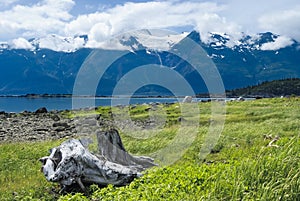 Rainbow Glacier In The Chilkat Range Near Haines, Alaska