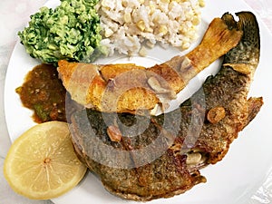 Rainbow and Golden Trout Dinner With Salsa, Guacamole, Rice, Garlic and Lemon