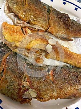 Rainbow and Golden Trout Fresh From the Frying Pan