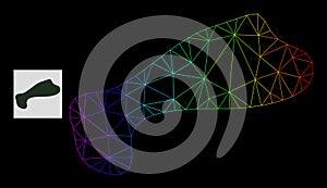 Rainbow Gradient Polygonal Net Spot Icon