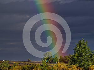 Rainbow on the Interstate