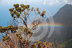 Rainbow at Kalalau lookout on Na Pali coast