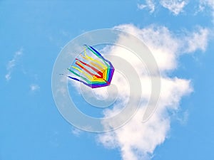 The rainbow kite flies in blue sky