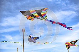 Rainbow kites are floating in the sky. which are generally sold along the beach in Pattaya