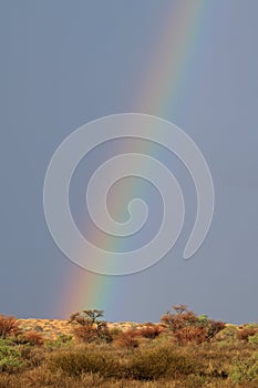 Rainbow landscape, Kalahari desert, South Africa