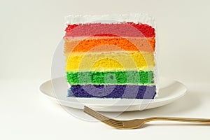 Rainbow  layered cake slice