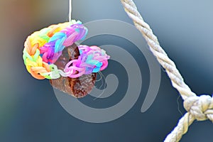 Rainbow loom bracelets on a fishing net