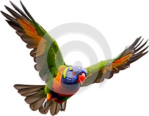 Rainbow Lorikeet bird. Bird Clipart AI-generated.