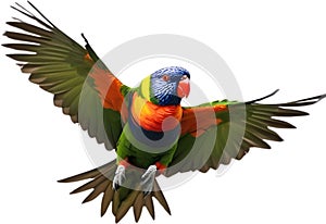 Rainbow Lorikeet bird. Bird Clipart AI-generated.