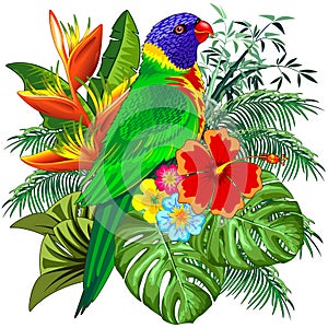 Rainbow Lorikeet Exotic Colorful Parrot Bird Vector Illustration