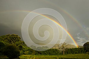 A rainbow is a meteorological phenomenon that is caused by reflection, refraction and dispersion of light in water droplets.